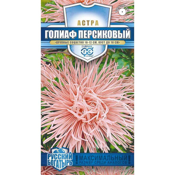 Астра Голиаф персиковый Гавриш Ц 