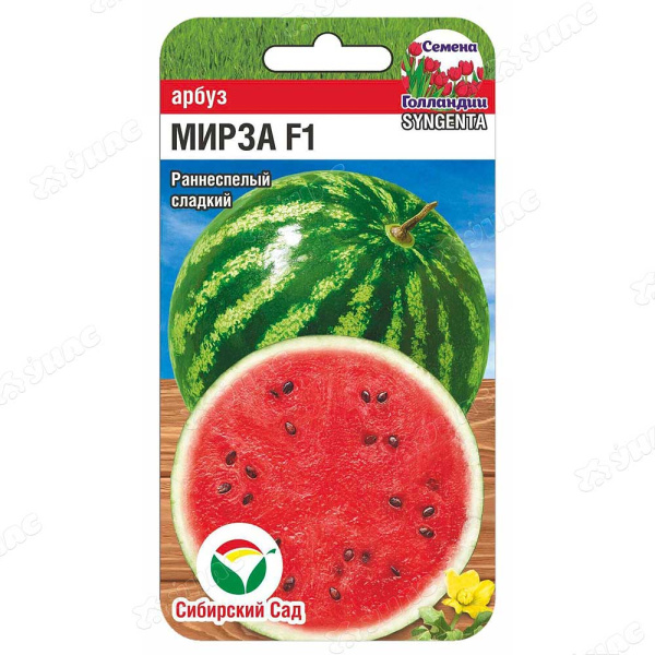 Арбуз Мирза СибСад Ц