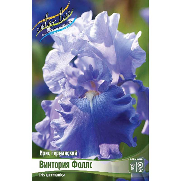 Ирис Германский Виктория Фоллс I 25 шт Биг-пак 9340