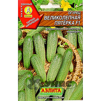 Огурец Великолепная пятерка Аэлита Ц