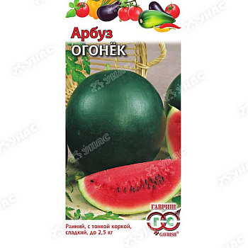 Арбуз Огонек Гавриш Ц