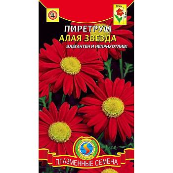 Пиретрум  Алая звезда  Плазма Ц 