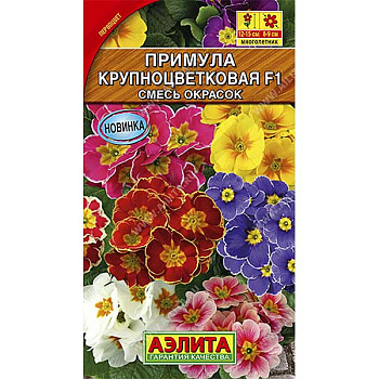 Примула Крупноцветковая Аэлита Ц 