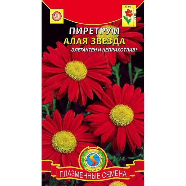Пиретрум  Алая звезда  Плазма Ц 