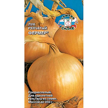 Лук Фермер Седек Ц
