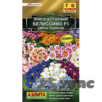 Примула Белиссимо смесь Аэлита Ц 