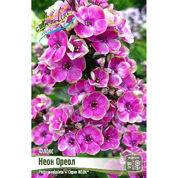 Флокс Neon® Ореол I 1 шт
