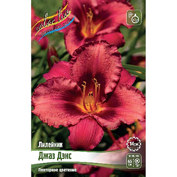 Лилейник Джаз Дэнс I 25 шт Биг-пак 16349 