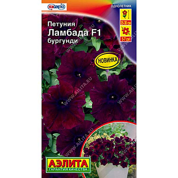 Петуния Ламбада бургунди Аэлита Ц 