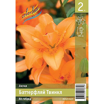 Лилия Баттерфляй Твинкл 14/16 2 Эконом шт