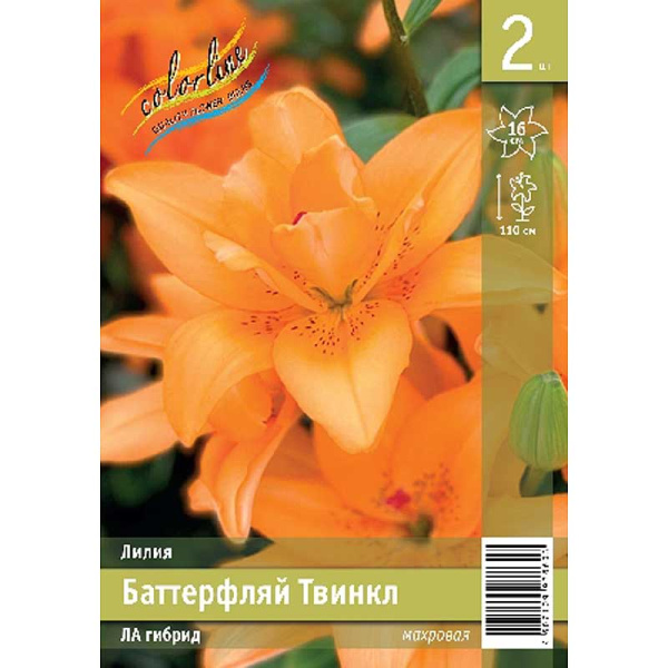 Лилия Баттерфляй Твинкл 14/16 2 Эконом шт