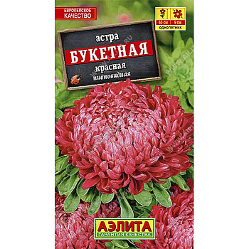 Астра Букетная красная Аэлита Ц 