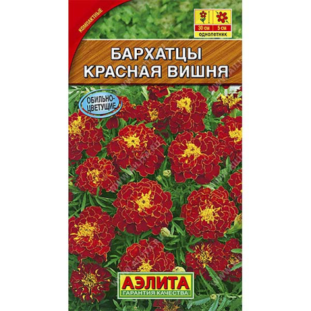 Бархатцы Красная вишня отклоненные  Аэлита Ц 
