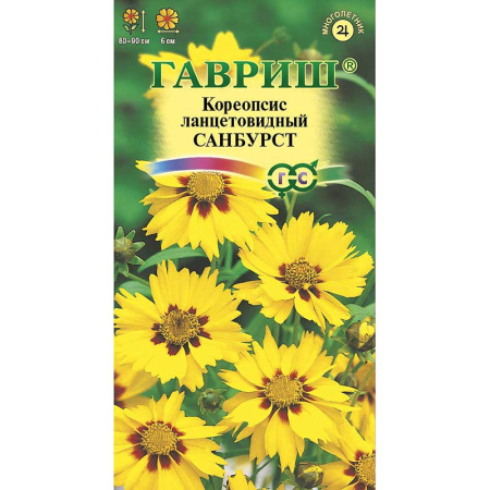 Кореопсис Санбурст ланцетовидный Гавриш Ц 