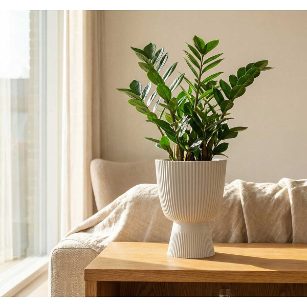 Кашпо ВЕЛЬВЕТ D180мм 1,9л со вставкой Кремовый М3269 х8 