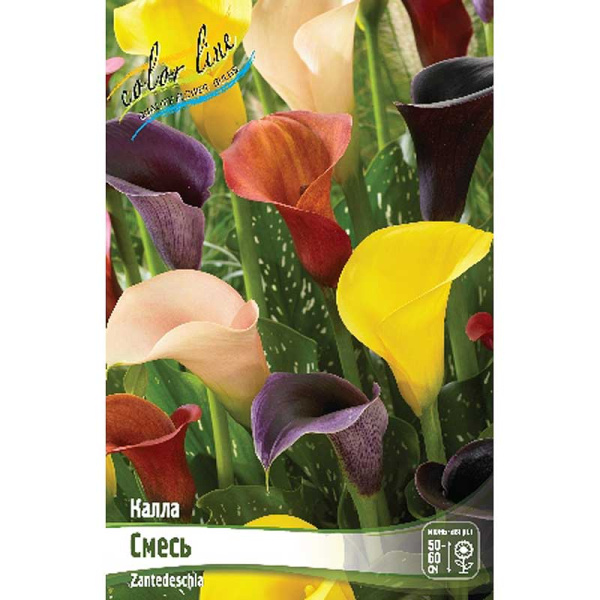 Калла Смесь 12/14 3 шт 