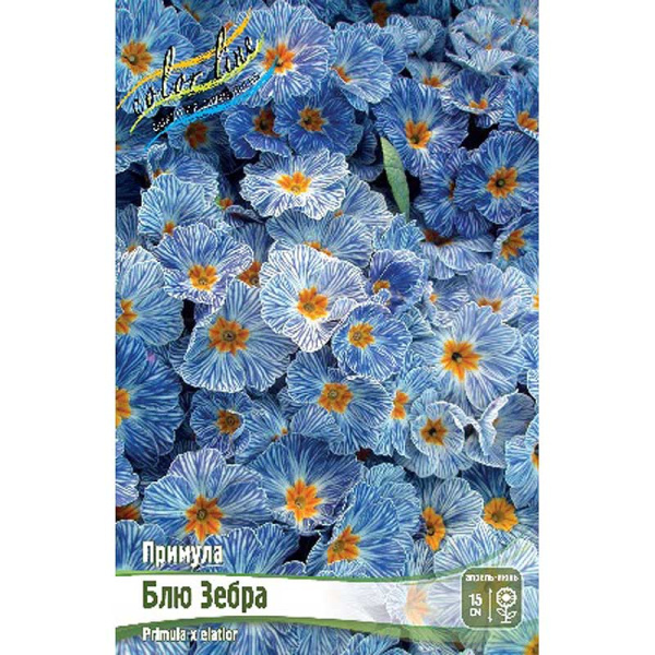 8578 Биг-Пак Примула Блю Зебра I 25 шт