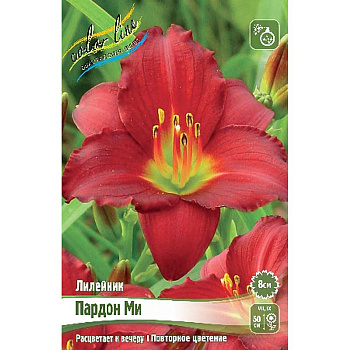 Лилейник Пардон Ми I 1 шт