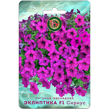 Петуния Эклиптика Сириус Биотехника Ц 