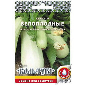 Кабачок Белоплодный "Кольчуга" НК
