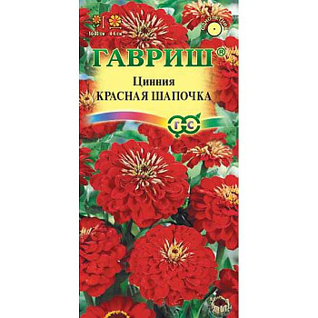 Циния Красная шапочка лилипут Гавриш Ц 