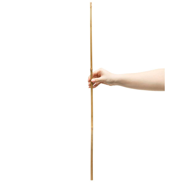 Бамбуковые колышки 60см 8/10мм (500)