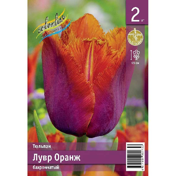 Тюльпан Лувр Оранж 11/12 2 шт