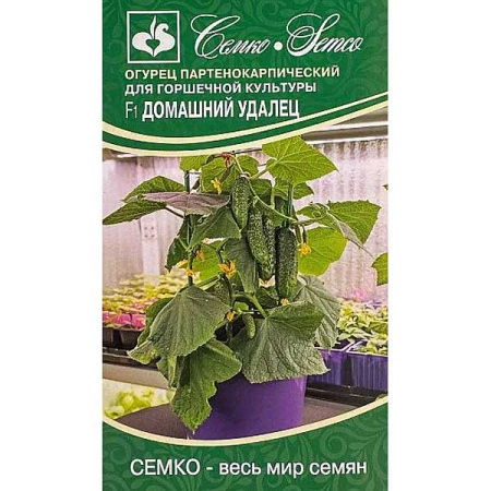 Огурец Домашний удалец Семко Ц