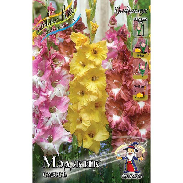 Гладиолус Смесь "Мэджик" 10/12 6 шт