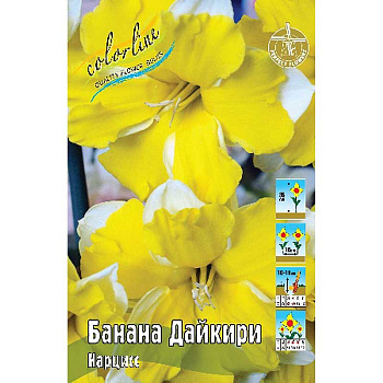 5076 Шоу-Бокс Нарцисс Банана Дайкири 12/14 50 шт 