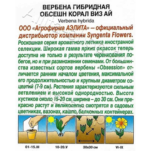 Вербена Обсешн корал виз ай Аэлита 