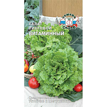 Салат Витаминный листовой Седек Ц