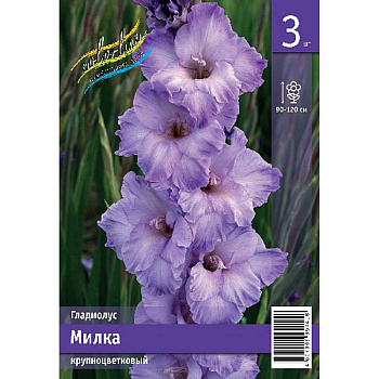 Гладиолус Милка 10/12 3 Эконом шт 
