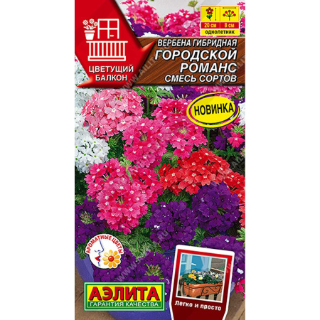 Вербена гибридная Городской романс смесь  Аэлита Цх10 
