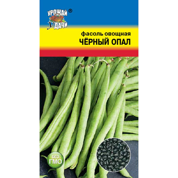 Фасоль Чёрный опал Урожай у дачи Ц