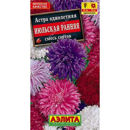 Астра Июльская смесь Аэлита Ц 