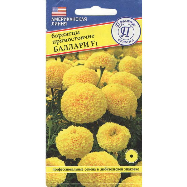 Бархатцы Баллари Престиж Ц 