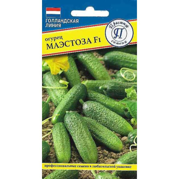 Огурец Маэстоза Престиж Ц