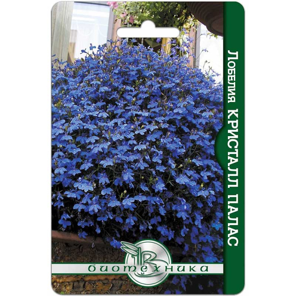 Лобелия Кристалл Палас Биотехника Ц 