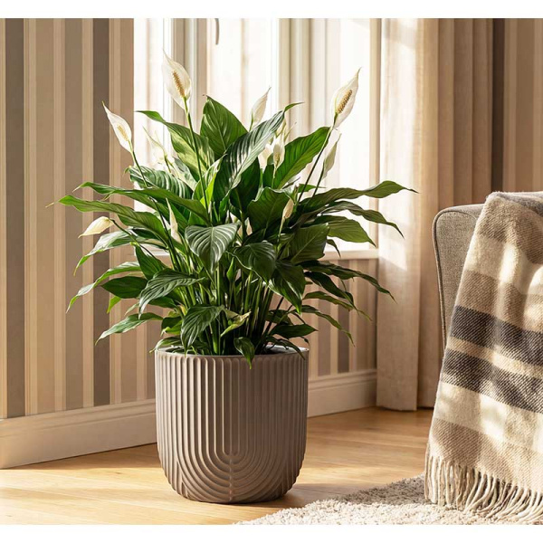 Кашпо РАМОНА D280мм 7,8л со вставкой французcкий серый М3263 х1 