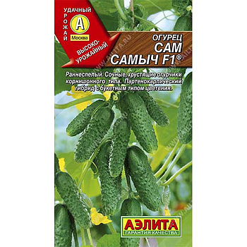 Огурец Сам самыч Аэлита Ц x10