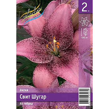 Лилия Свит Шугар 12/14 2 Эконом шт 