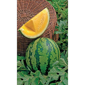 Семена Арбуз Герман Марс Ц