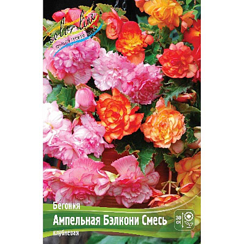 Бегония Ампельная Бэлкони Смесь 4/5 3 шт 
