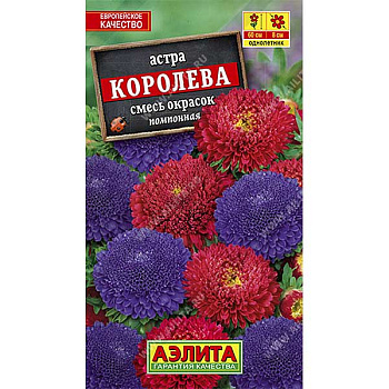 Астра Королева смесь Аэлита Ц 