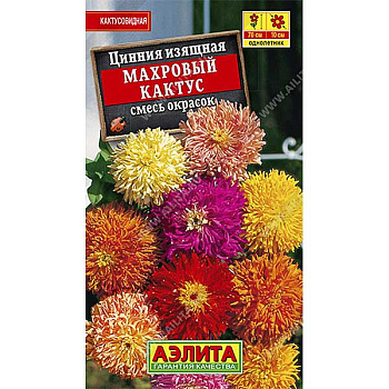 Циния Махровый кактус  Аэлита Ц х10 