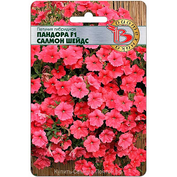 Петуния Пандора Салмон Шейдс гибрид  Биотехника Ц 