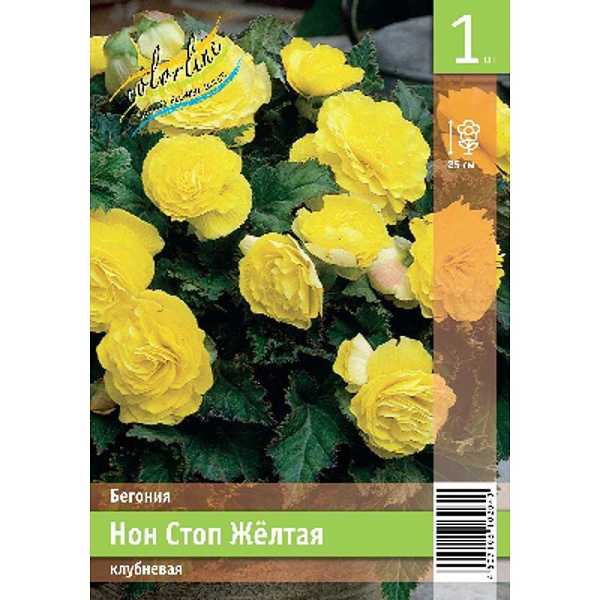 Бегония Нон Стоп Желтая 5/6 1 Эконом шт