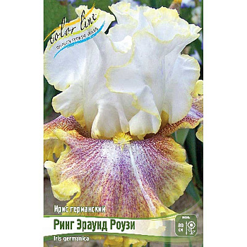 Ирис Германский Ринг Эраунд Роузи I 25 шт Биг-пак 9339