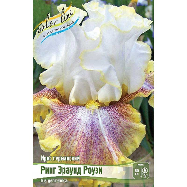 Ирис Германский Ринг Эраунд Роузи I 25 шт Биг-пак 9339